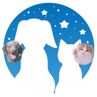 ほしの動物病院 名古屋市 熱田区 動物病院 犬 猫の診療